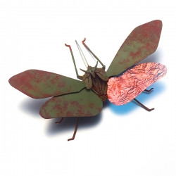 http://www.k-artjewelry.com/files/dimgs/thumb_0x250_4_83_423.jpg