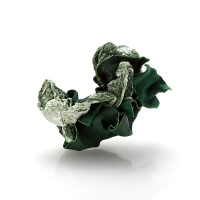 http://www.k-artjewelry.com/files/gimgs/th-102_CWH_Overlay8.jpg