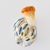 http://www.k-artjewelry.com/files/gimgs/th-108_HEJ_Parasitic.jpg