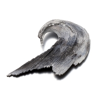 http://www.k-artjewelry.com/files/gimgs/th-160_LJS01.jpg