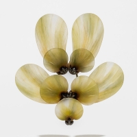 http://www.k-artjewelry.com/files/gimgs/th-183_cyj01.jpg