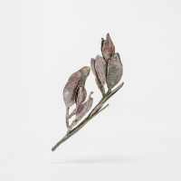http://www.k-artjewelry.com/files/gimgs/th-185_jjy_Plant.jpg