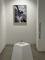 http://www.k-artjewelry.com/files/gimgs/th-191_ljs_ex01.jpg