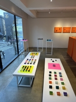 http://www.k-artjewelry.com/files/gimgs/th-214_EXTREMe_E02.jpg