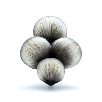 http://www.k-artjewelry.com/files/gimgs/th-221_KHA01.jpg