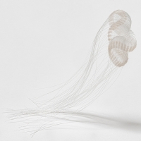 http://www.k-artjewelry.com/files/gimgs/th-246_JAR02-25.jpg