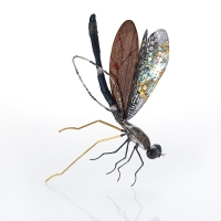 http://www.k-artjewelry.com/files/gimgs/th-57_LYJ_Dragonfly.jpg