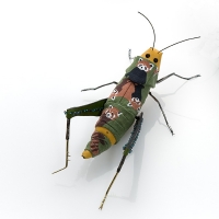 http://www.k-artjewelry.com/files/gimgs/th-57_LYJ_Grasshopper_v2.jpg
