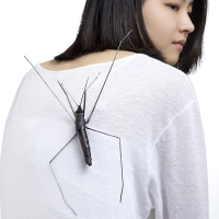 http://www.k-artjewelry.com/files/gimgs/th-57_LYJ_Waterstrider.jpg