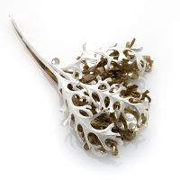 http://www.k-artjewelry.com/files/gimgs/th-59_SHJ_NewnessReformationofScatteredThings_Ⅴ.jpg