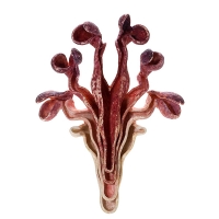 http://www.k-artjewelry.com/files/gimgs/th-62_CMJ_RedRoom.jpg