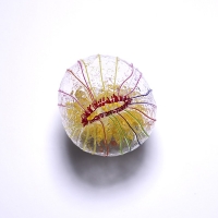 http://www.k-artjewelry.com/files/gimgs/th-69_KSG_Thebreathofstars.jpg