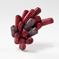 http://www.k-artjewelry.com/files/gimgs/th-77_KJM_rehold.jpg