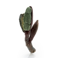 http://www.k-artjewelry.com/files/gimgs/th-78_JJY-Bud_02.jpg