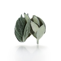 http://www.k-artjewelry.com/files/gimgs/th-78_JJY-Plant.jpg