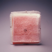 http://www.k-artjewelry.com/files/gimgs/th-86_CHL_plastic.jpg